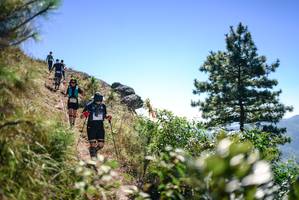 BIB: 
                            <button type="button" onclick="openModal(26608297)" class="btn btn-primary btn-sm float-right btn-popup" data-toggle="modal" data-target=".modal-high-quality">
                        <i class="fas fa-shopping-cart"></i> Add to Cart
                    </button>
                                            <button type="button" onclick="isThisMe(26608297, true)" class="btn btn-success btn-sm float-right btn-popup btn-isme hidden" data-toggle="tooltip" data-placement="bottom" title="นี่คือรูปของคุณใช่ไหม คลิกที่นี่เพื่อเอาเข้าอัลบั้ม">
                        <i class="fas fa-plus"></i> Add to album
                    </button>
                    <button type="button" onclick="isThisMe(26608297, false)" class="btn btn-warning btn-sm float-right btn-popup btn-isnotme hidden">
                        <i class="fas fa-ban"></i> Remove from album
                    </button>